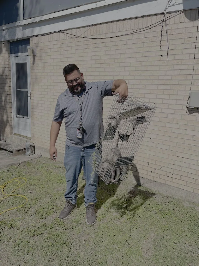 Resolve Pest and Termite technician holding a live catch trap containing a captured rodent outside a Houston home